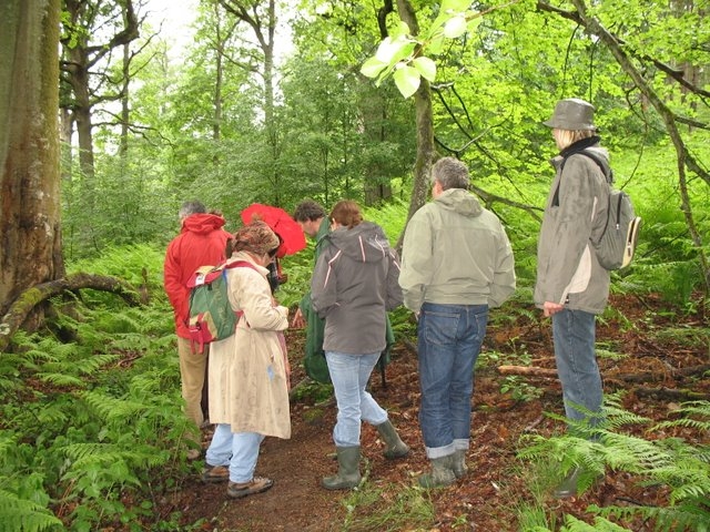 2007-05-Mycologie à la  porte Baudet